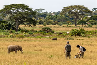 Ecology & Conservation