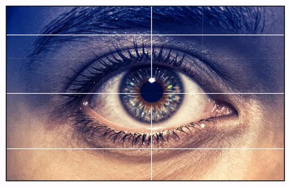 Perception and Attention