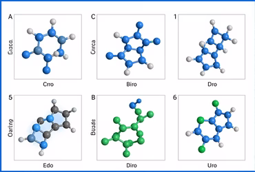 AI-Assisted Drug Design