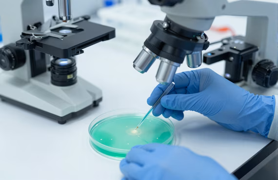 CRISPR-Cas gene editing performed on cell lines in laboratory