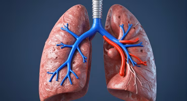 Respiratory Physiology